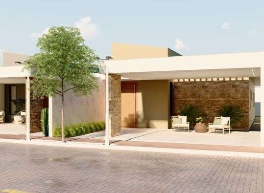 https___app.unbounce.com_publish_assets_ddfb3944-f01c-48f5-b423-f18e6565d76c_21fdd81b-tulipas-4_100000000000000000001o