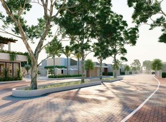 https___app.unbouncepreview.com_publish_assets_1ef04f8a-1060-4fa8-a3af-970c36570691_3ad567f8-tulipas-5_100000000000000000001o