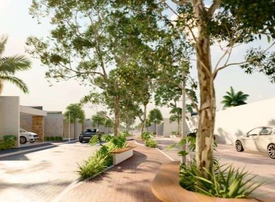 https___app.unbouncepreview.com_publish_assets_6bf47539-d167-4a9a-9d31-68052b1be383_a58d8ba2-tulipas-2_100000000000000000001o (1)