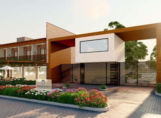 https___app.unbouncepreview.com_publish_assets_f27a2277-43d1-497e-9ae1-297ccd73eb5f_9b7c5d43-tulipas-1_100000000000000000001o